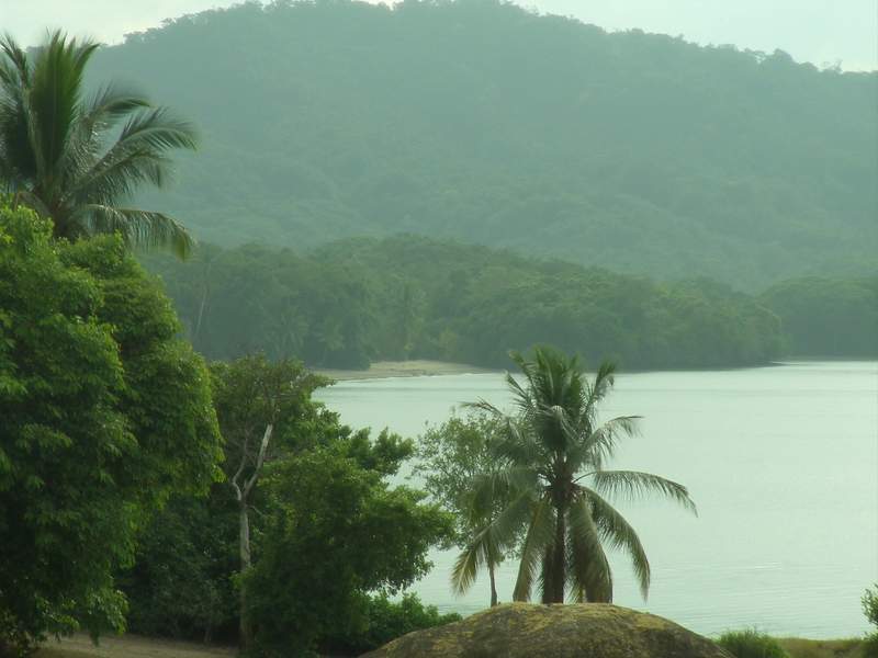 Orilla de selva y palmeras sobre un golfo de agua mansa, con montañas boscosas difuminadas por la humedad al otro lado